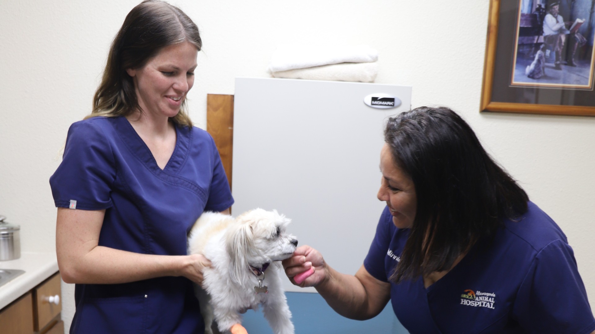 two vet staff holding a white dog