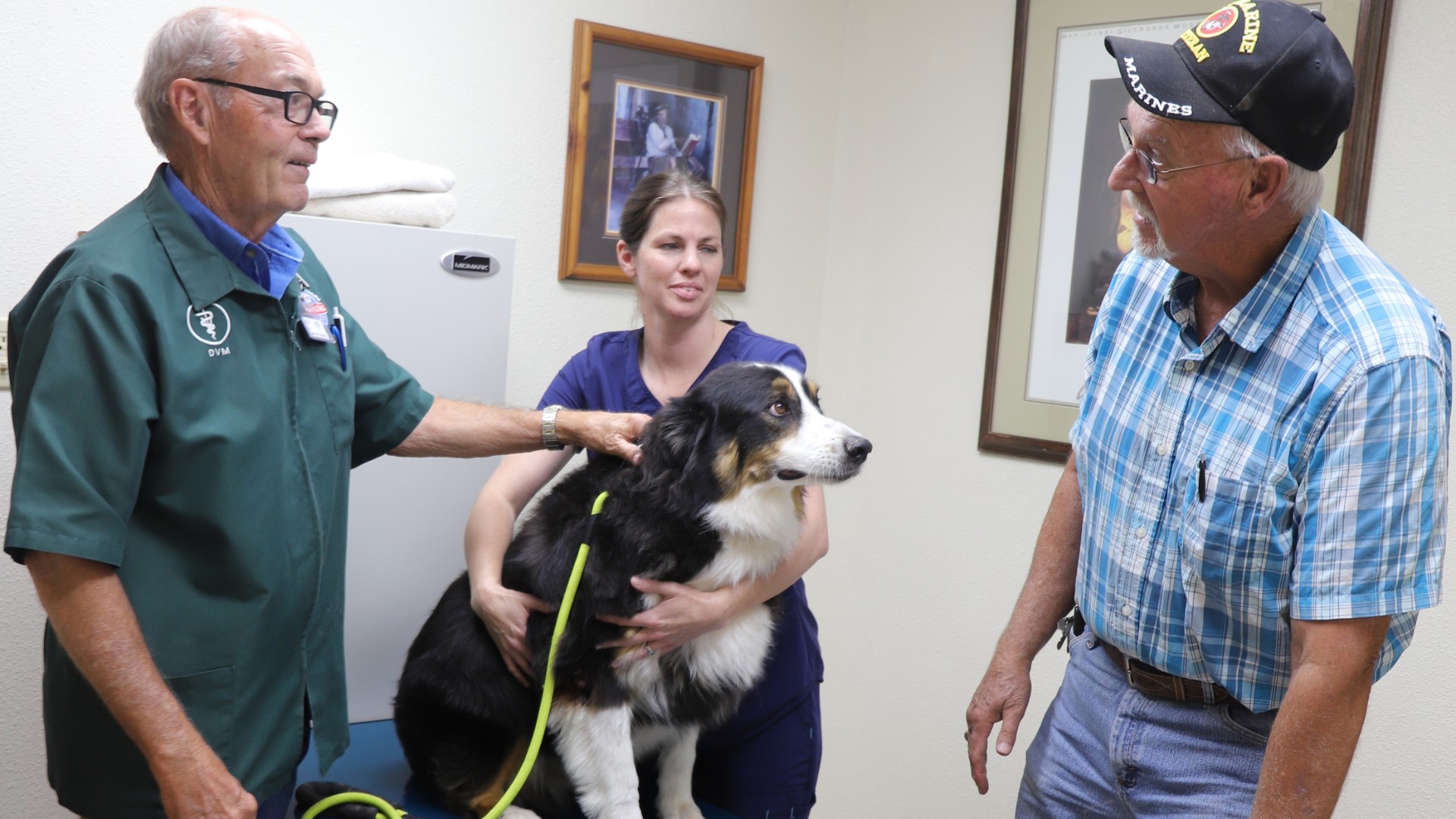 a vet staff petting a dog